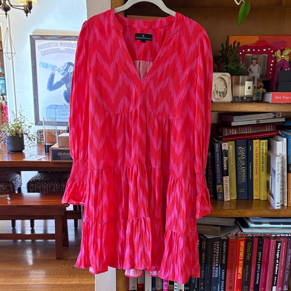 Pomander Place Bold Fuchsia and Pink Dress
